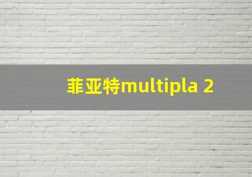 菲亚特multipla 2